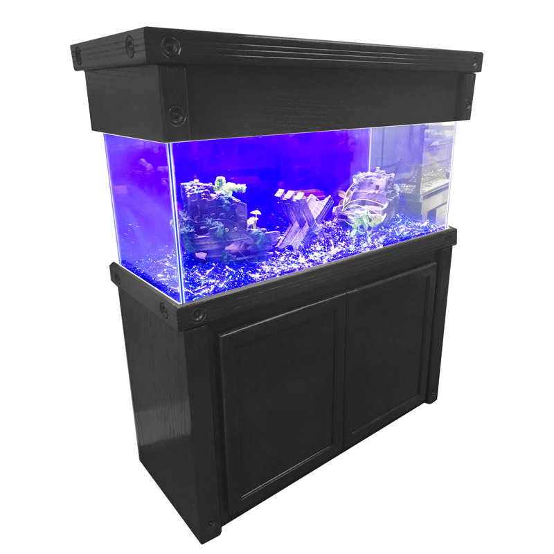 Tucker Murphy Pet™ Piccirillo All Wood Aquarium and Canopy
